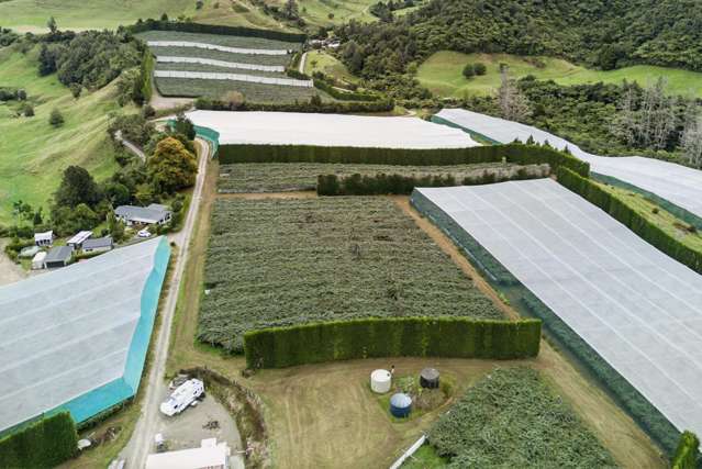 36B Demeter Road Te Puke_4