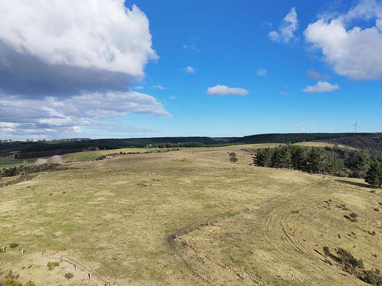 Lot 2 State Highway 12 Dargaville_5