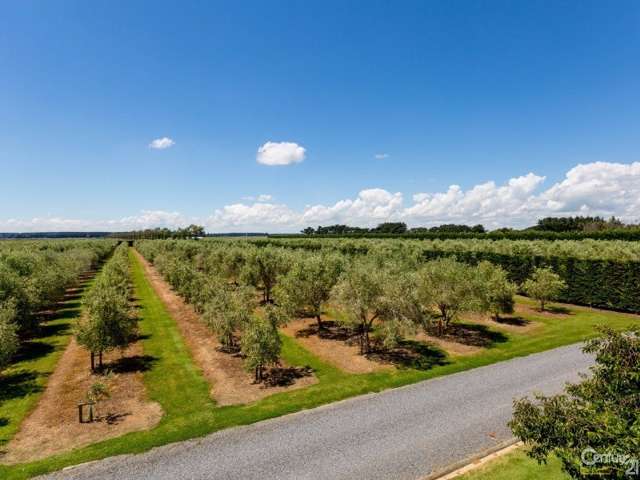 220 Motuiti Road Foxton_4