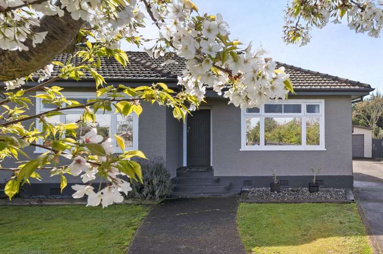 523 Wellington Road Marton_23