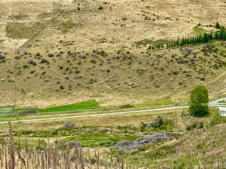 Diggers Gully Road Kurow_6