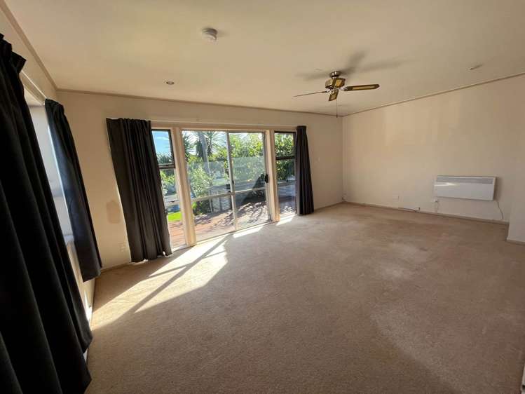 8 Palm Court Drive Glen Eden_7