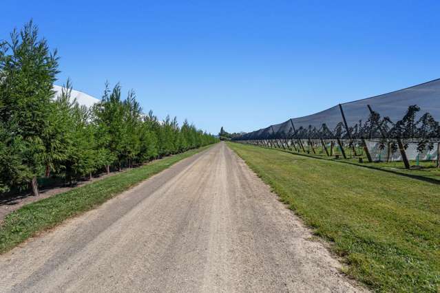 565 Western Drain Road Edgecumbe_4