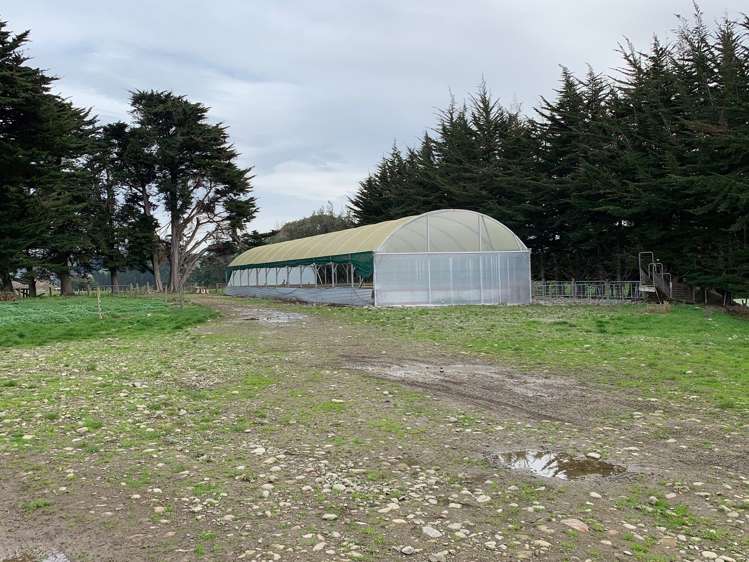 78 Waituna Road Pahiatua_4