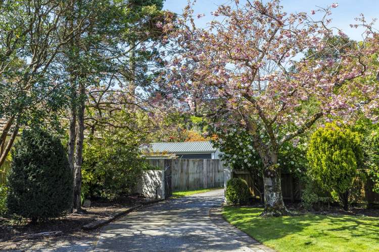 11B Ashgrove Terrace Somerfield_16