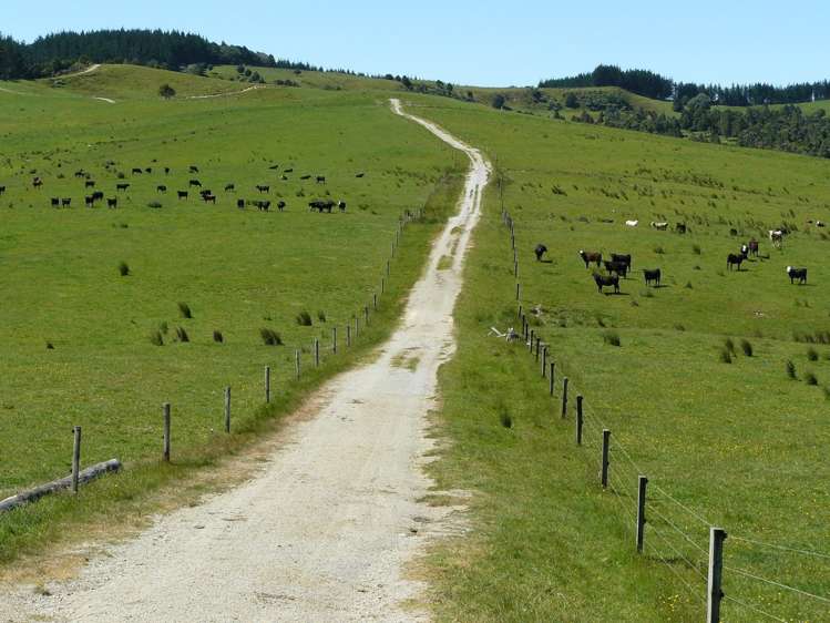 658 Lake Road Kaikohe_4