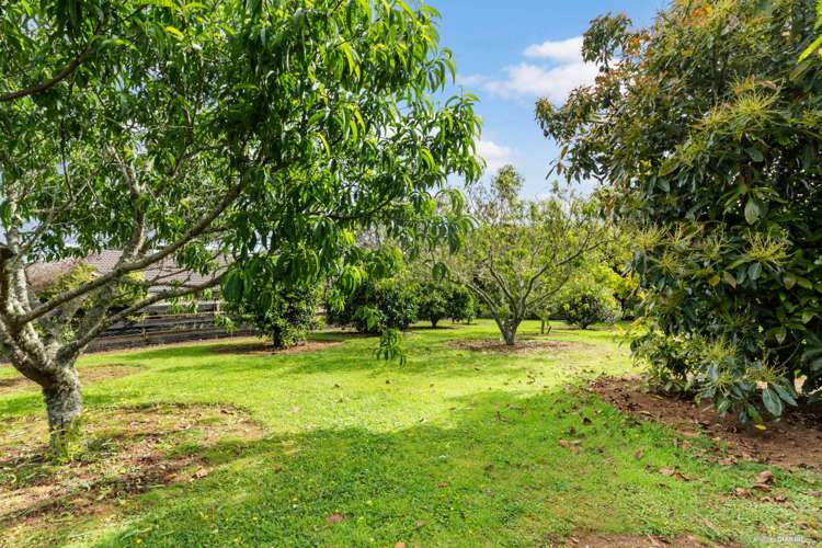 294 Razorback Road Pokeno_17