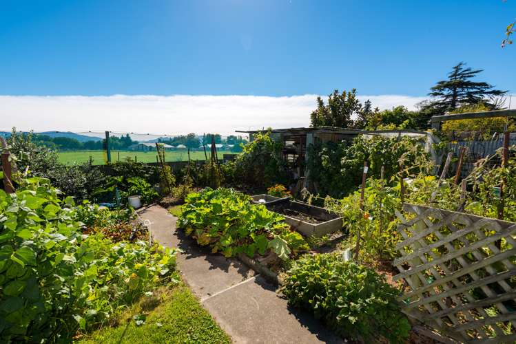 60 New Renwick Road Burleigh_16