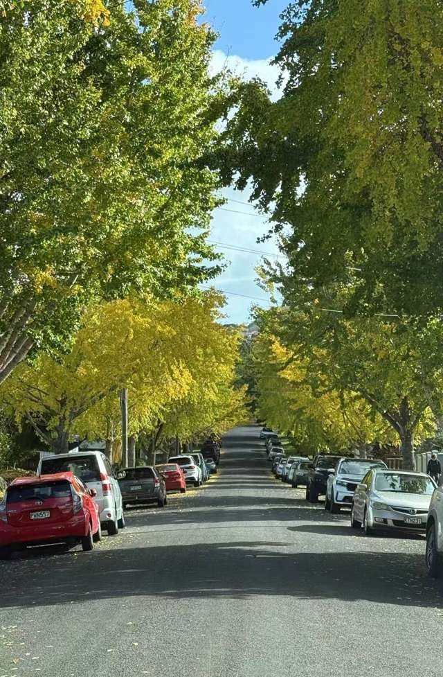 35D Beckenham Avenue Royal Oak_4