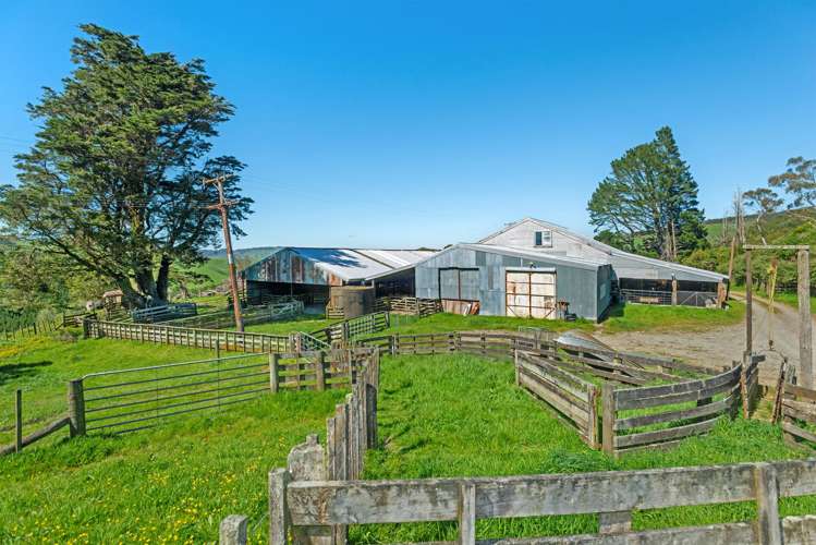 1271 Rakauroa Road Matawai_6