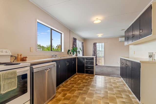 3 Nikau Street Levin_2