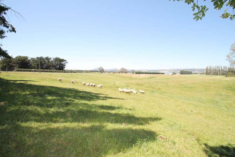 375 Huntly Road Outram_21