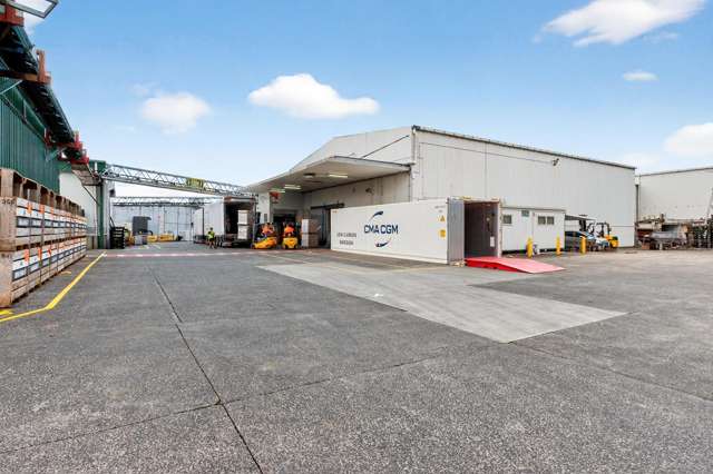 100 Kerwyn Avenue East Tamaki_1