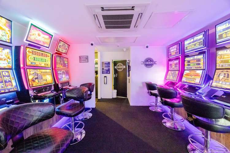 29 Carlyle Street Napier South_10