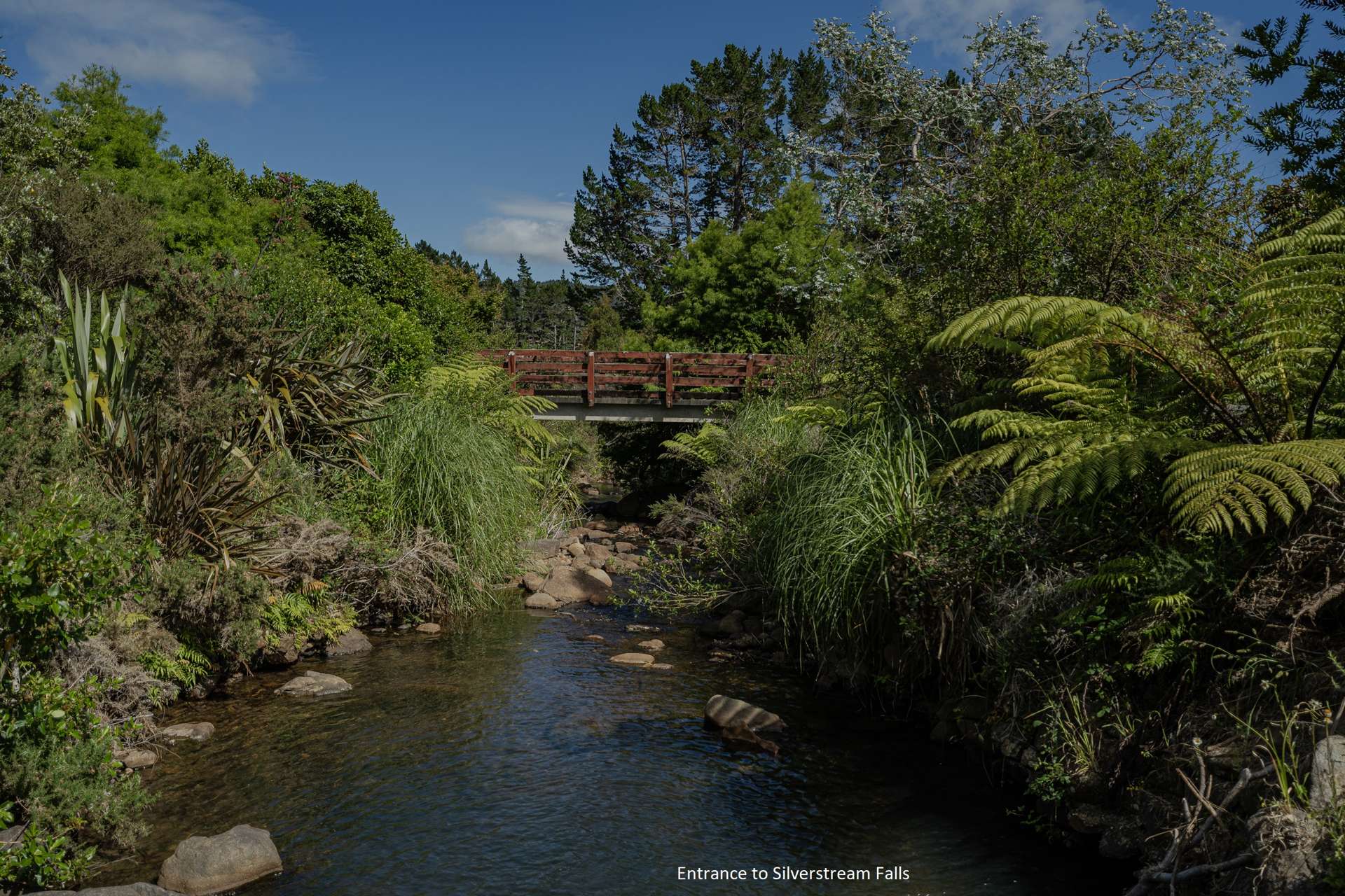 180 Silverstream Falls Row, RD1 Whitianga_0