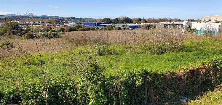 60 John Street Pukekohe_3