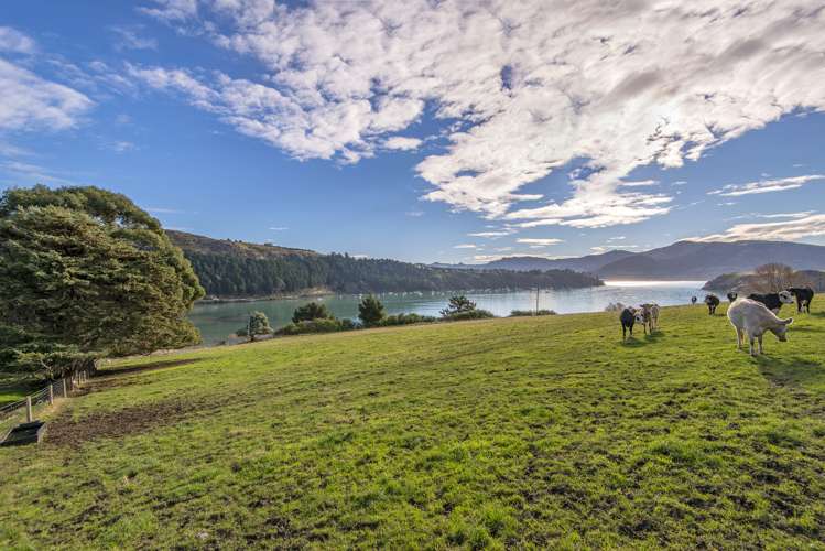 16 Camp Bay Road Purau_3