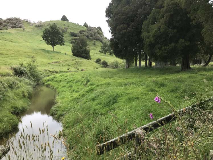 2801 State Highway 4 Aria_9