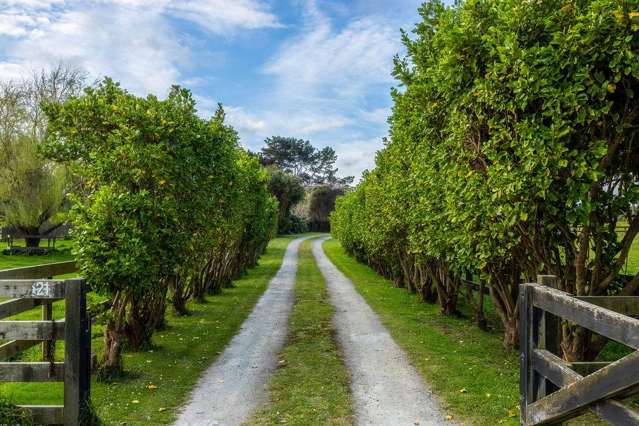 21 Glenn Street Castlecliff_2