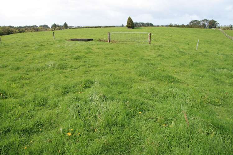 2105 Hastings Road Mahoe_24