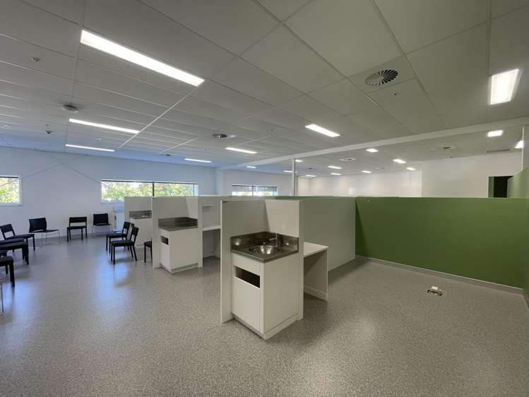 3 Akoranga Drive Northcote_6