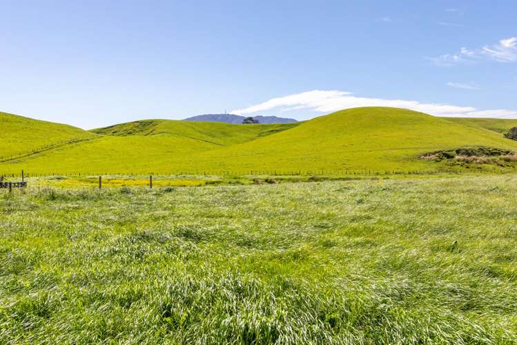 79816 State Highway 2 Woodville_3