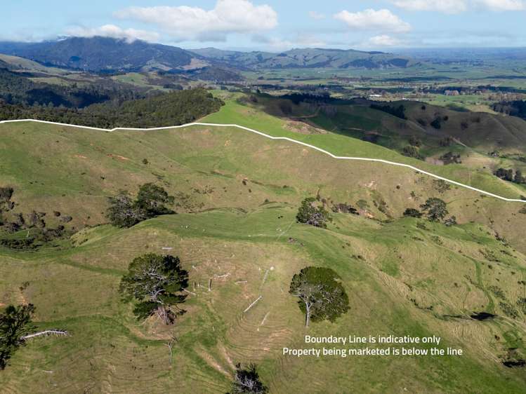 7200B State Highway 26 Paeroa_5