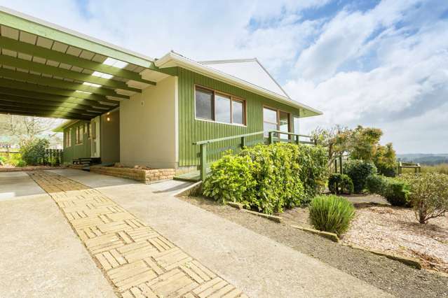 17 Shipherd Road Puni_4