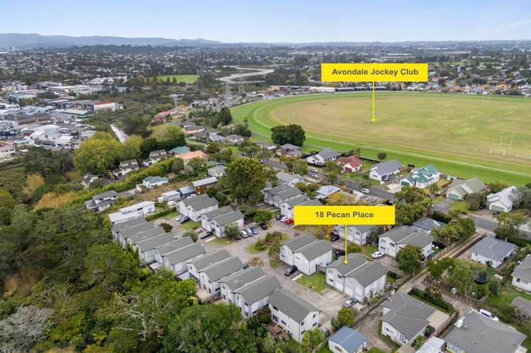18 Pecan Place Avondale_20