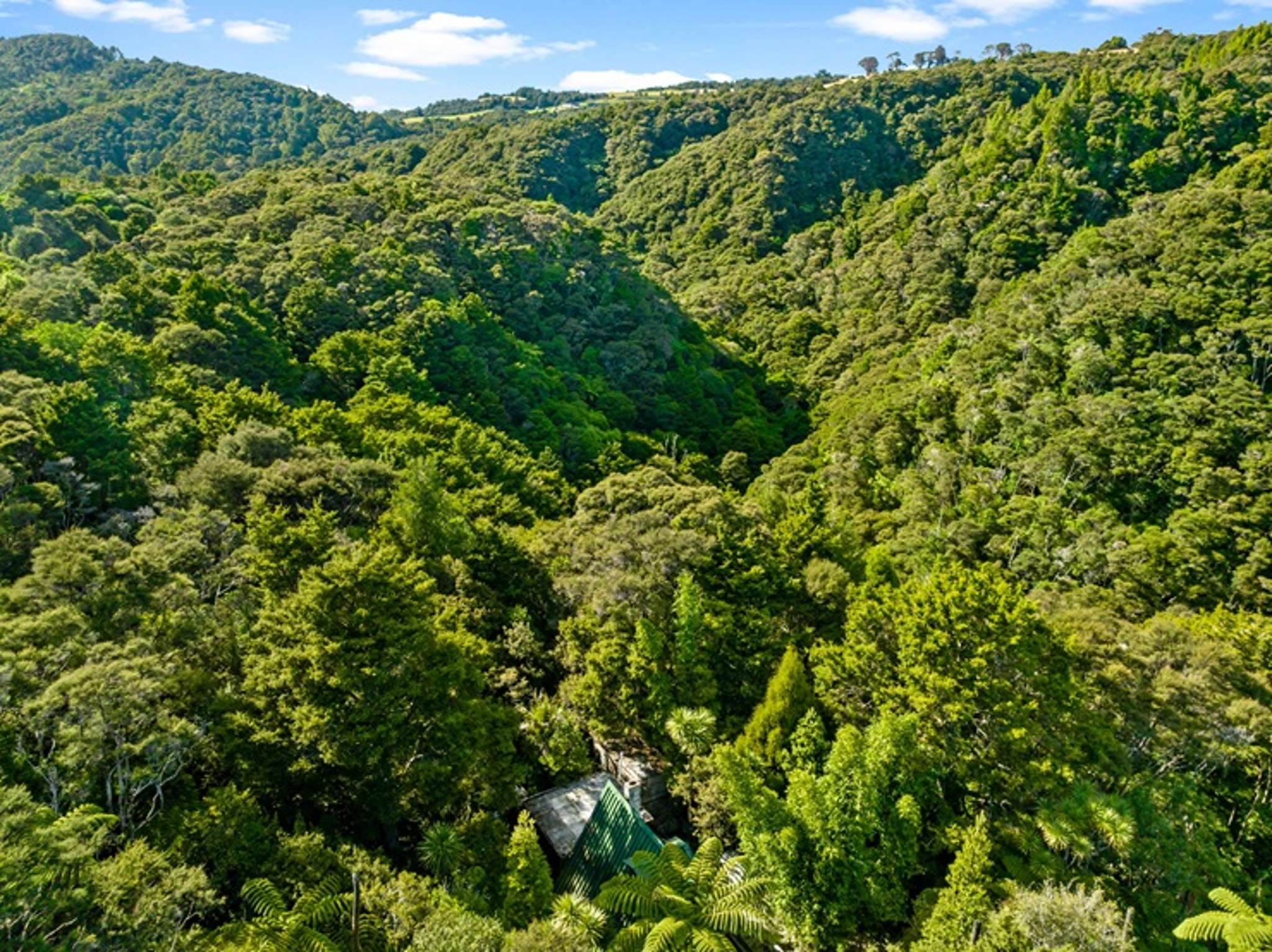 ‘Where else can you walk around naked?’ - in the middle of nowhere and for sale