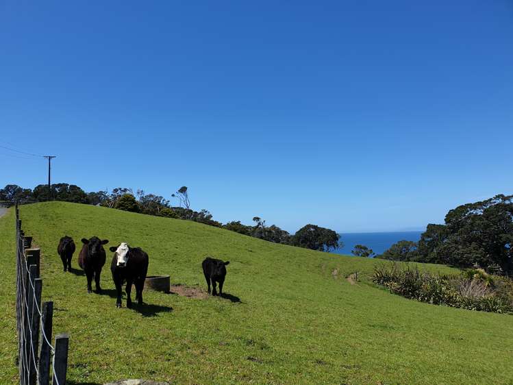 100 Omaha Block Access Road Leigh_14