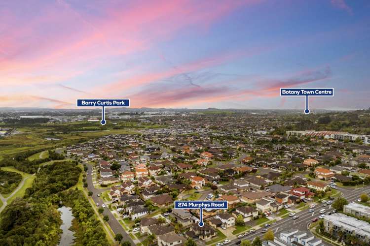 274 Murphys Road Flat Bush_20