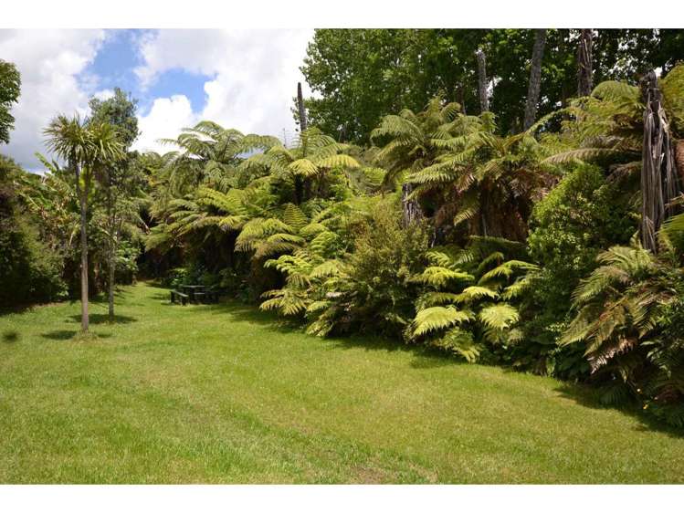 204 Puketotara Road Kerikeri Surrounds_11