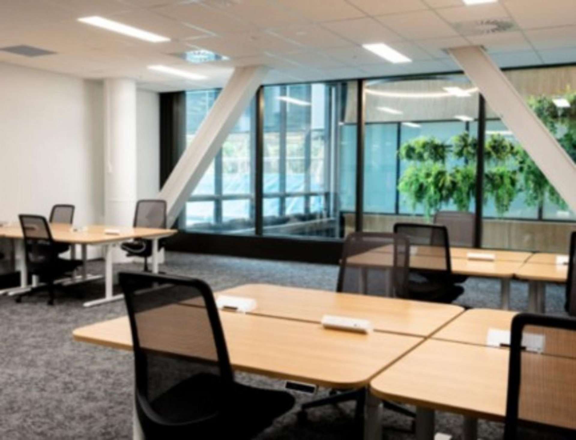 1.16/40 Bowen Street Wellington Central_0