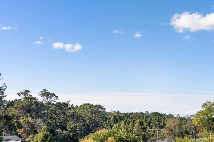 3/13 Aorangi Place Birkenhead_10