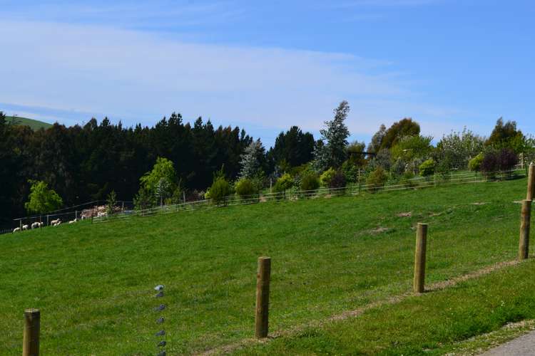 47 Maudes Road Deborah_2