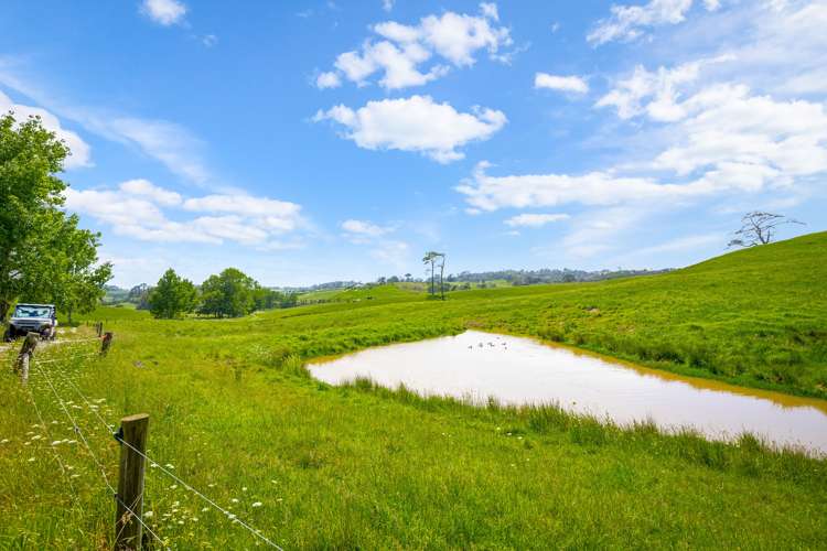 515 Kahikatea Flat Road Waitoki_9