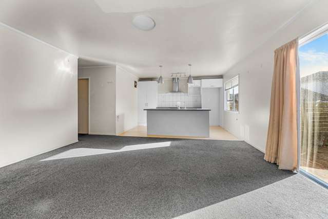2/30 Princes Street Otahuhu_2