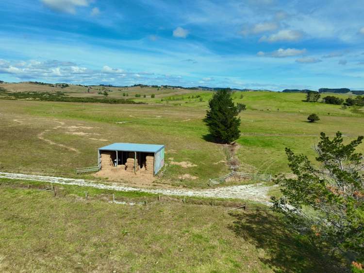 56 Lawrence Road Kaiwaka_19