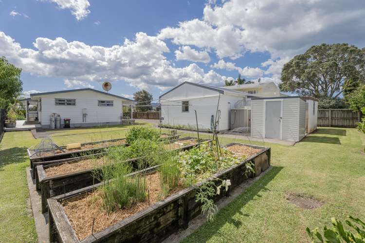 98 Catherine Crescent Whitianga_2