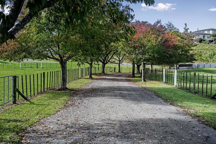 44 Brotherhood Road Kihikihi_51