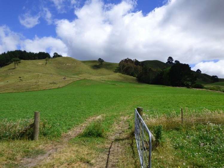 1370 Te Kopia Road Waikite Valley_6