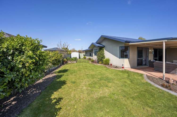 270 Guppy Road Taradale_15