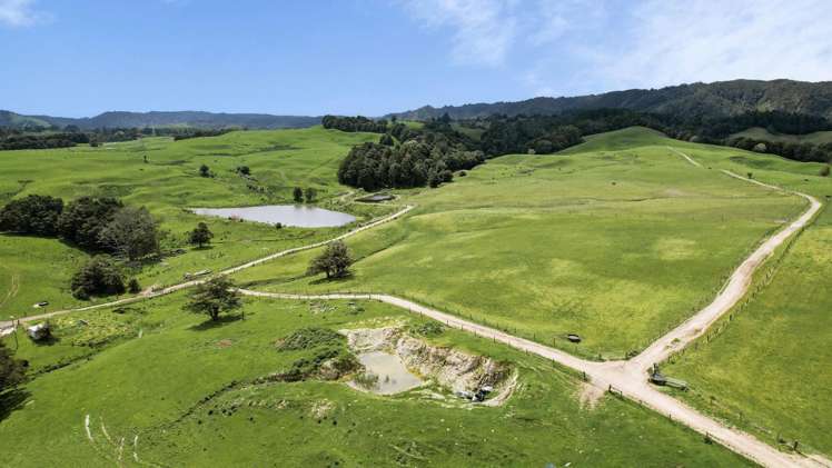 2051 Paparoa-Oakleigh Road Taipuha_3