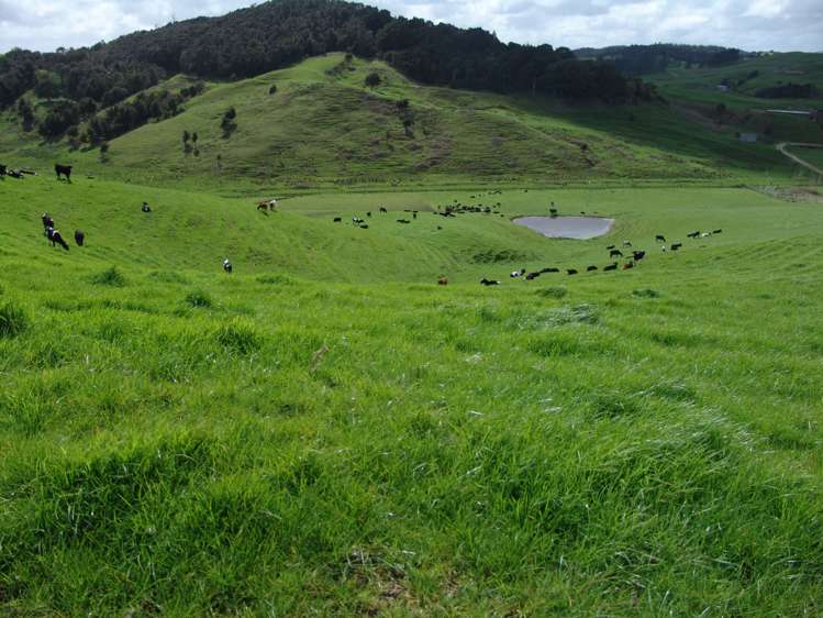 259 Arapohue Road Dargaville Surrounds_17