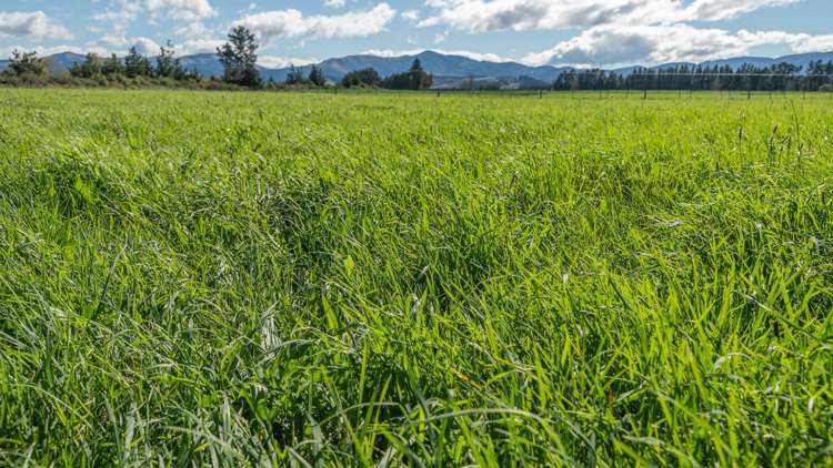 375 Stonyflat Road Loburn_25