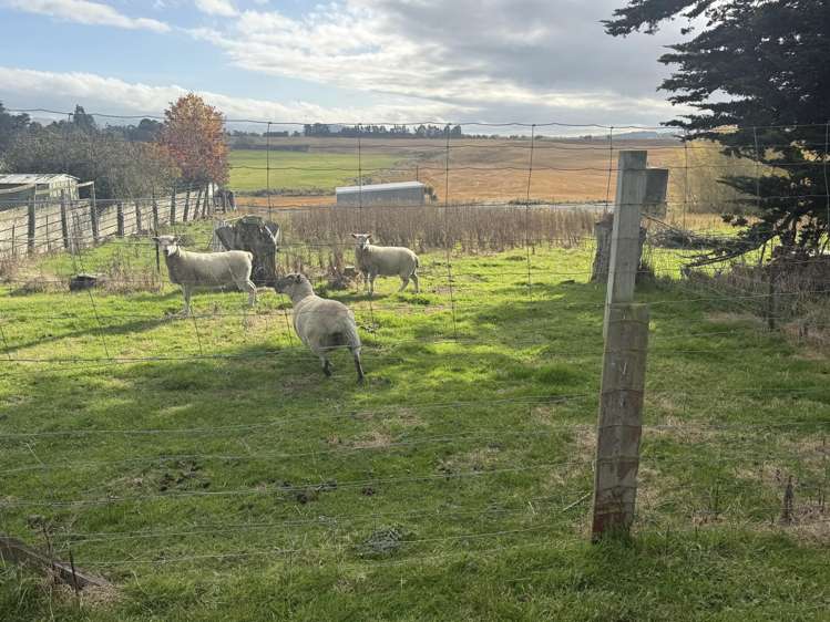 17 Kaihiku Road Waiwera South_12