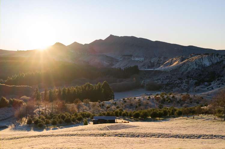 101 Laidmore Road Broomfield_15