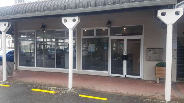 2/3 Britannia Street Petone_2