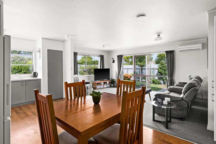 4b Windsor Terrace Taradale_6